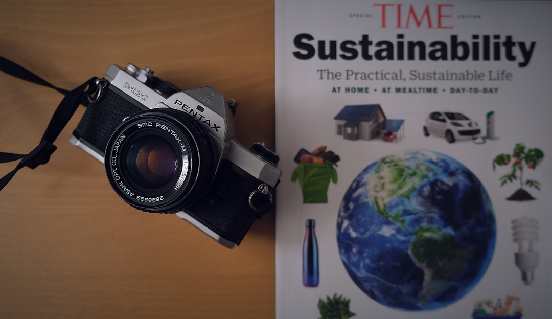 Environmental Management Framework: Components, Benefits, and Examples